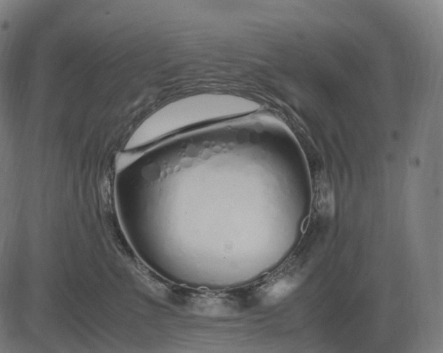 X0000083060523200702161800