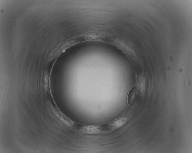 X0000083060526200702161759