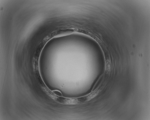 X0000083060527200702161759