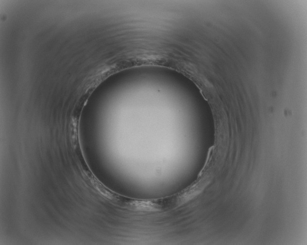 X0000083060528200702161759