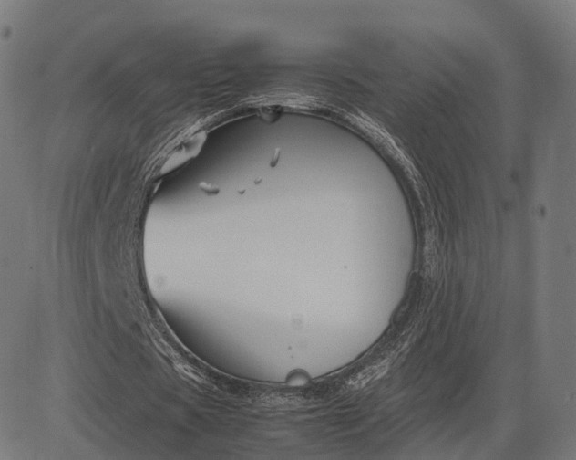 X0000083060529200702161759