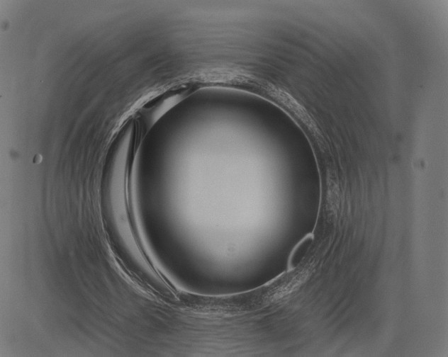 X0000083060530200702161759