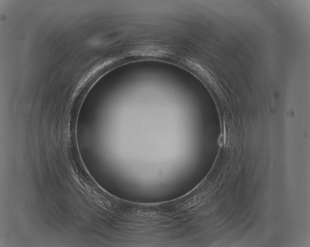 X0000083060531200702161759