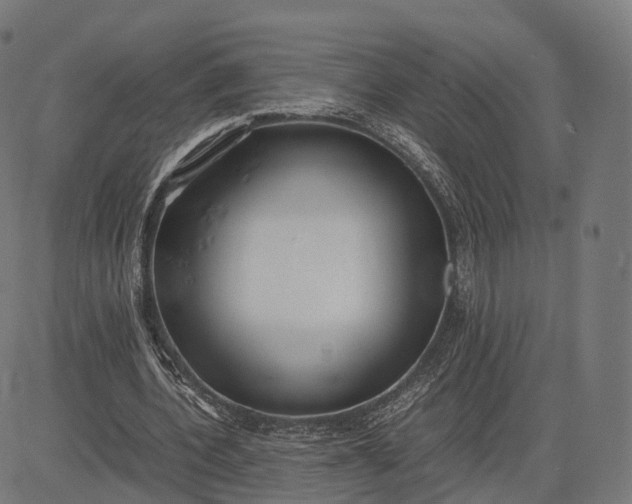 X0000083060532200702161759