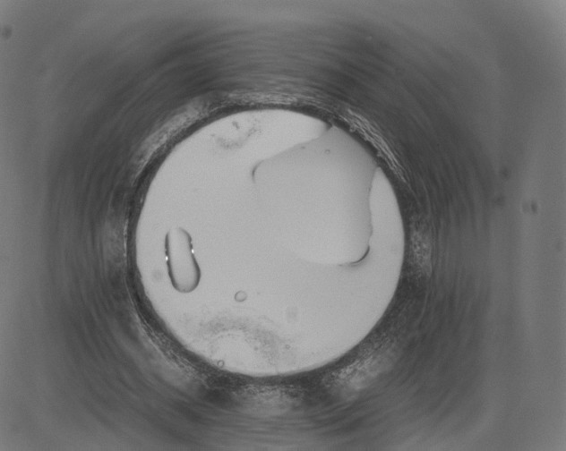 X0000083060534200702161759