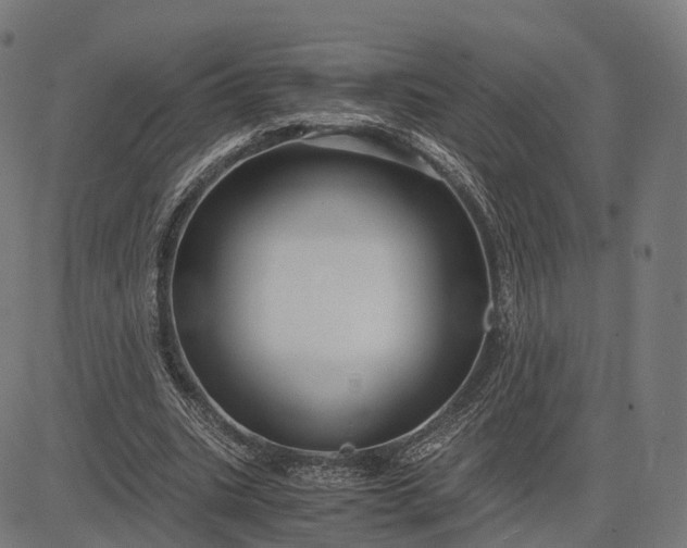 X0000083060535200702161759