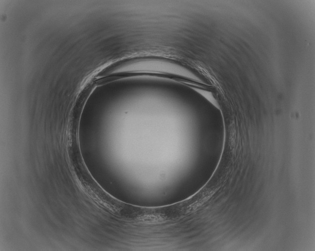 X0000083060536200702161759