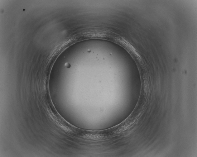 X0000083060537200702161759