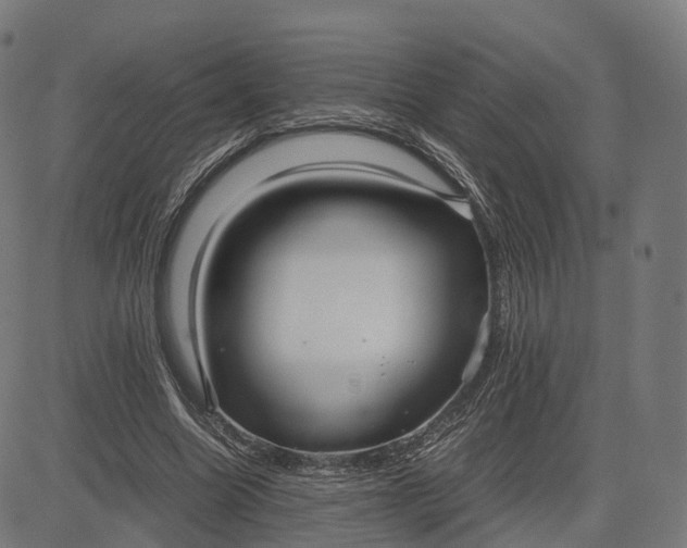 X0000083060538200702161759