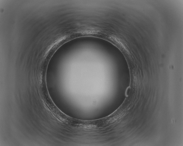 X0000083060539200702161759