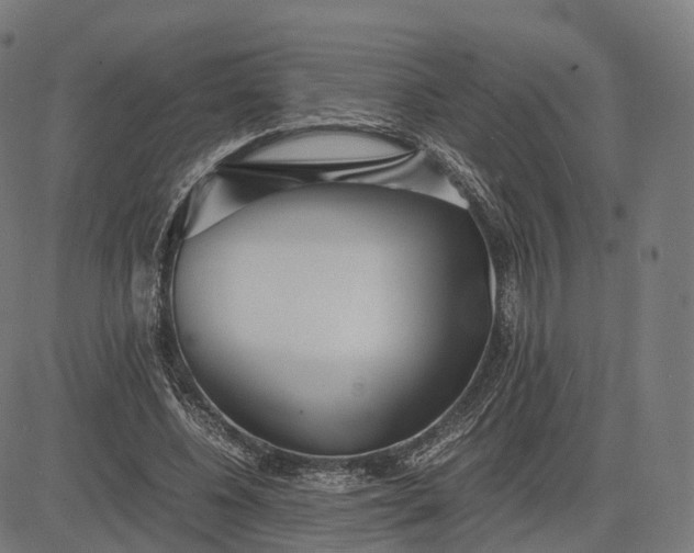 X0000083060540200702161759