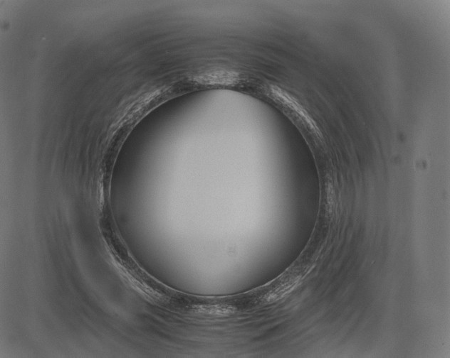 X0000083060541200702161759