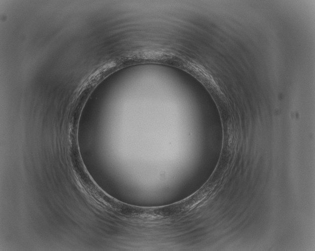 X0000083060542200702161759