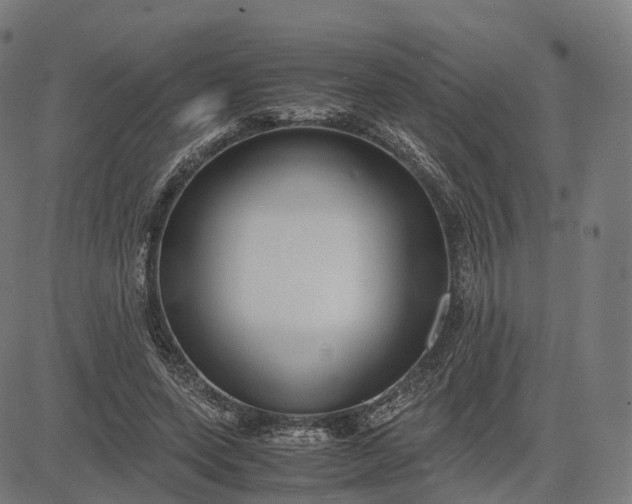 X0000083060543200702161759