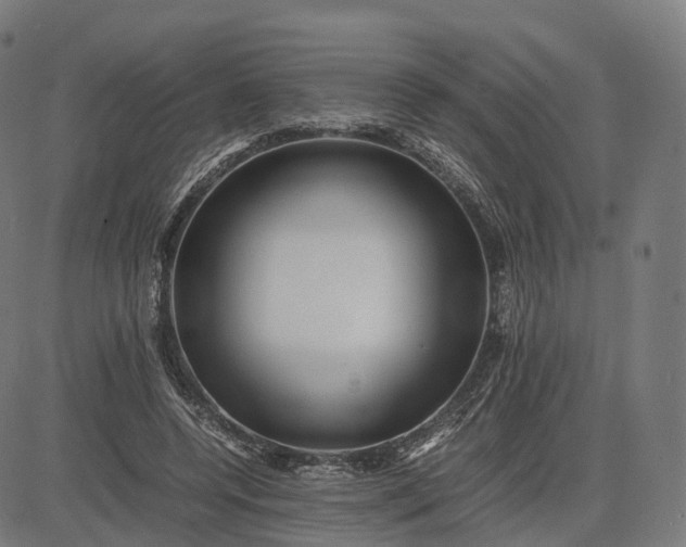 X0000083060544200702161759