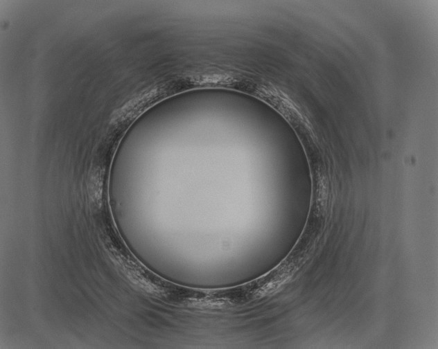 X0000083060545200702161759