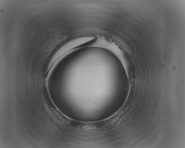 X0000083060546200702161759