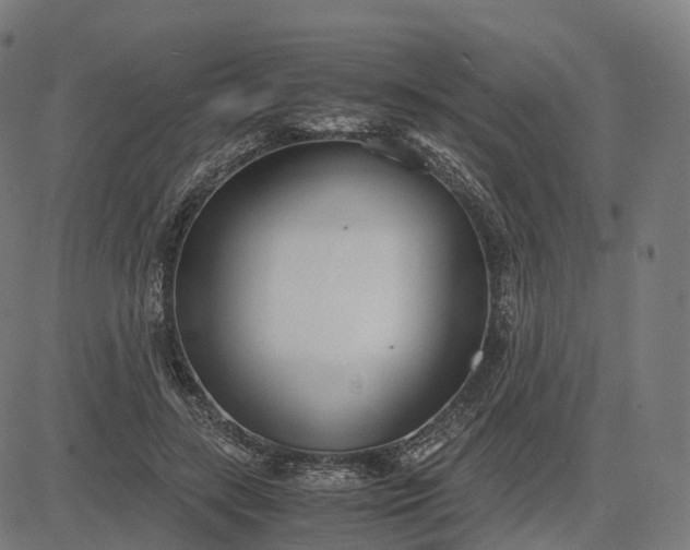 X0000083060547200702161759