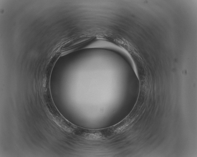 X0000083060548200702161759