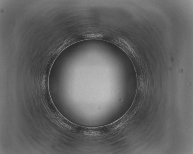 X0000083060549200702161759