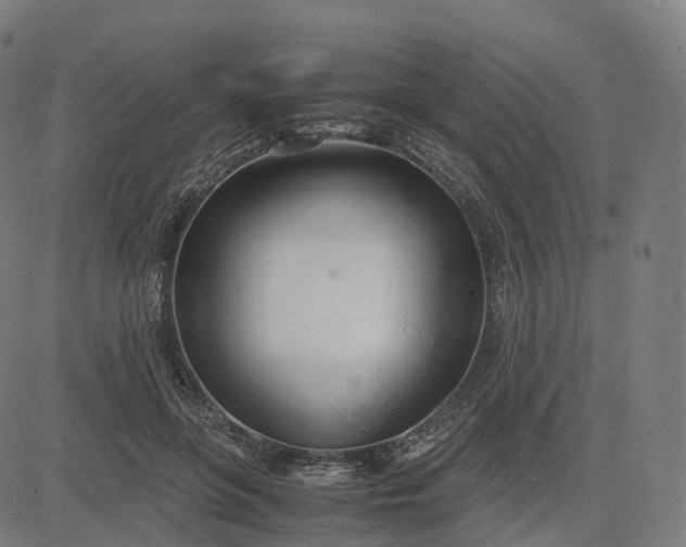 X0000083060551200702161759