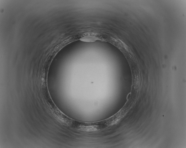 X0000083060553200702161759