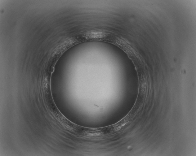 X0000083060555200702161759