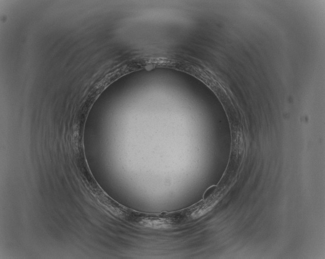 X0000083060557200702161759