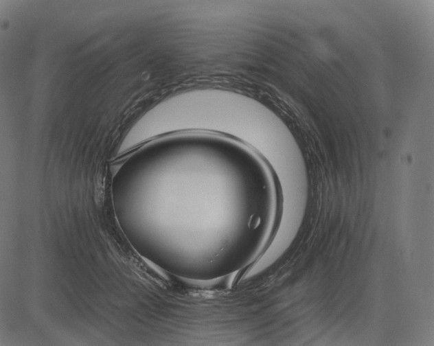 X0000083060558200702161759