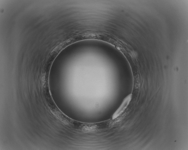 X0000083060560200702161759