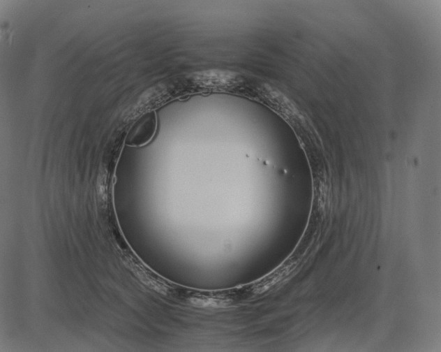 X0000083060561200702161759