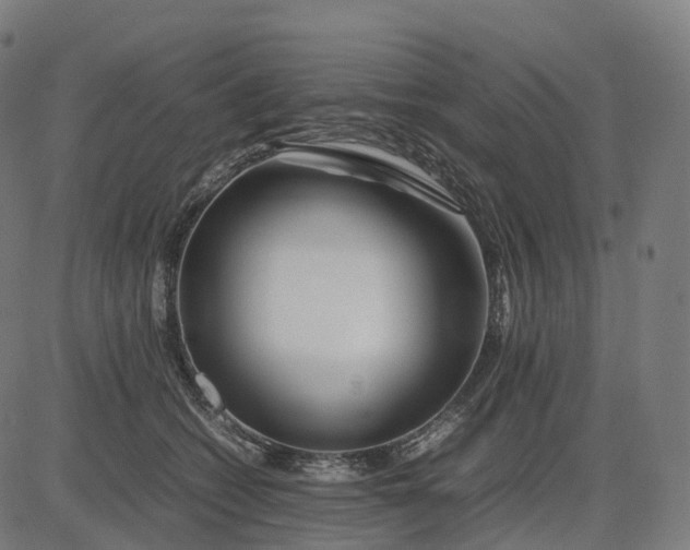 X0000083060562200702161759