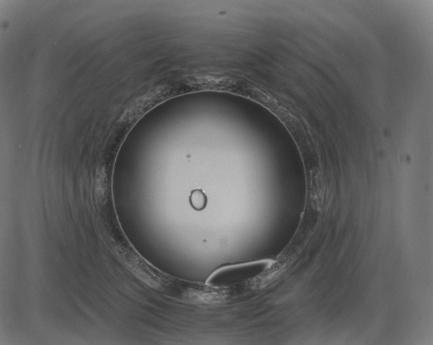 X0000083060563200702161759