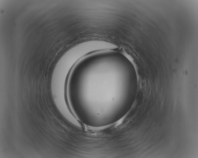 X0000083060564200702161759