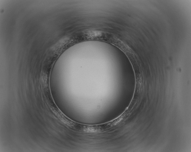 X0000083060565200702161759