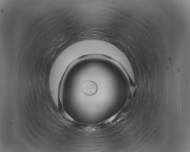 X0000083060566200702161759