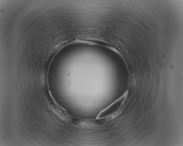 X0000083060568200702161759