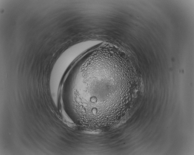 X0000083060569200702161759