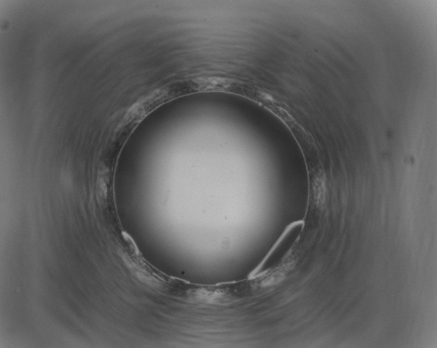 X0000083060570200702161759