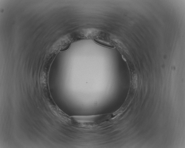 X0000083060571200702161759