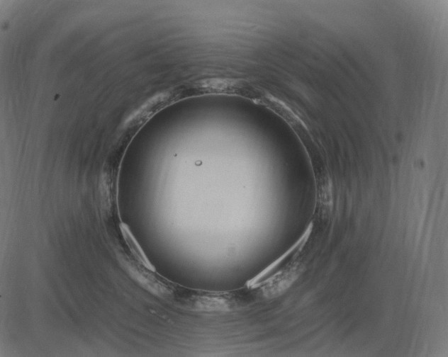 X0000083060572200702161759