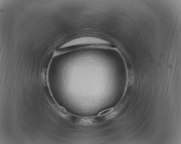 X0000083060573200702161759