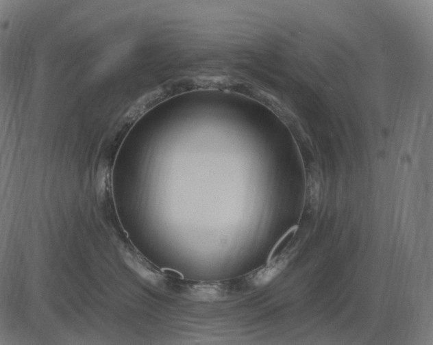 X0000083060574200702161759