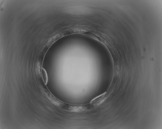 X0000083060575200702161759