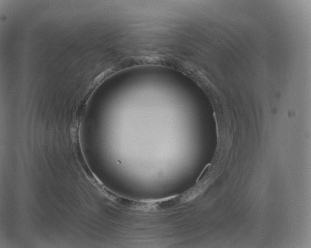 X0000083060576200702161759