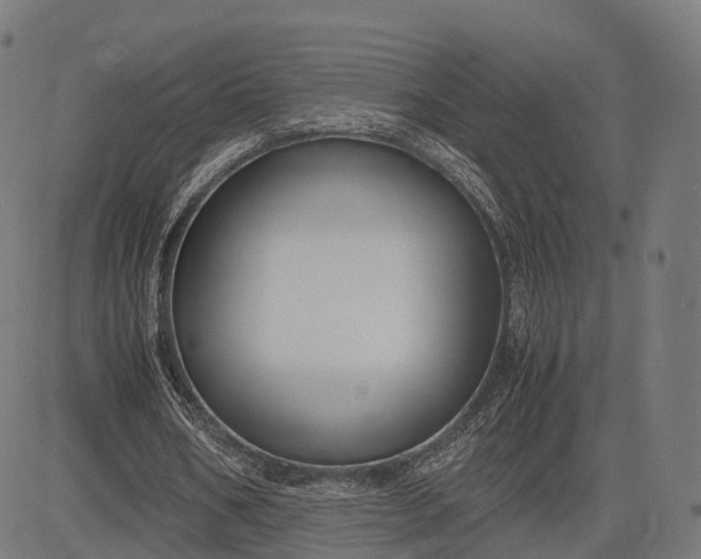 X0000083060578200702161759