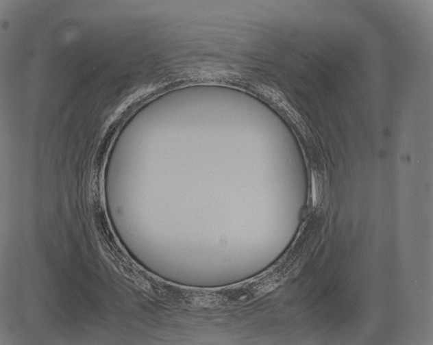 X0000083060579200702161759