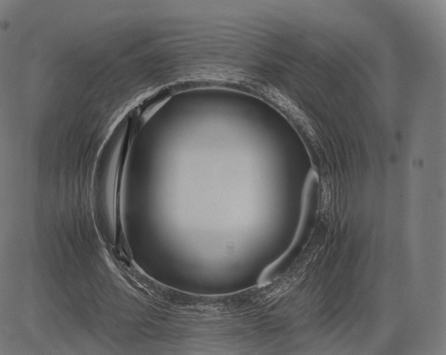 X0000083060580200702161759