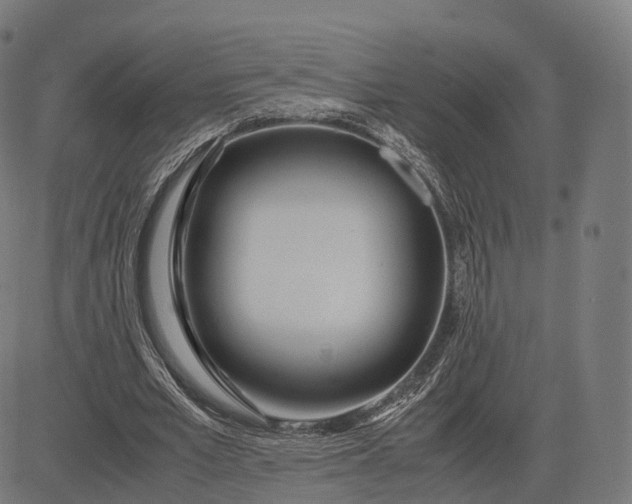 X0000083060581200702161759