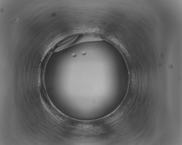 X0000083060582200702161759